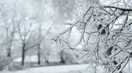 В каких регионах Казахстана объявили штормовое предупреждение