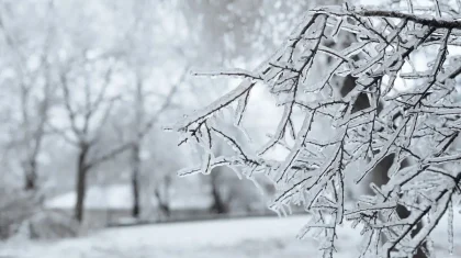 Снег с метелью и гололедом: прогноз погоды в Казахстане в ближайшие дни