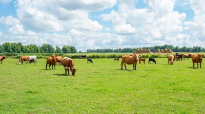 В госсобственность вернули 2,1 млн га неиспользуемых земель в Казахстане