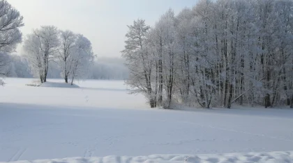 Штормовое предупреждение объявили по всему Казахстану на 5 января