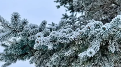 Какая погода ждет казахстанцев 6 января