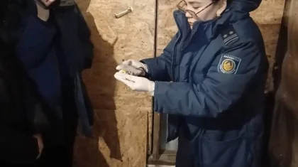 Работавшую за криптовалюту наркозакладчицу задержали в Щучинске