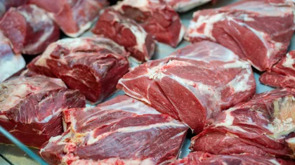 Новые правила экспорта говядины разъяснили в Казахстане