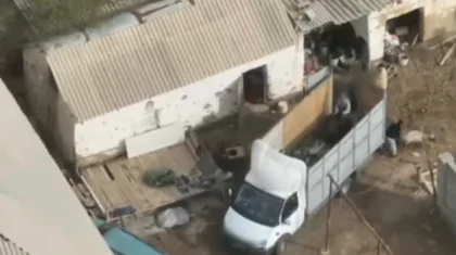 Дрон вывел на след скотокрадов: полиция раскрыла кражу в Туркестанской области