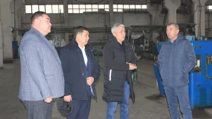 Депутаты Мажилиса ознакомились с работой предприятий в области Жетысу