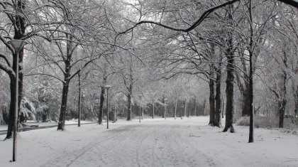 Туман окутает большую часть Казахстана: штормовое предупреждение на 10 января