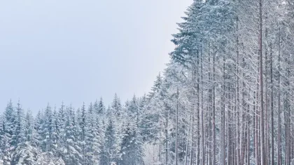 В каких регионах Казахстана объявили штормовое предупреждение