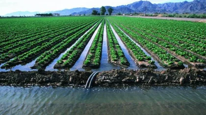 Поставщиков поливной воды оштрафовали почти на 18 млн тенге в Казахстане