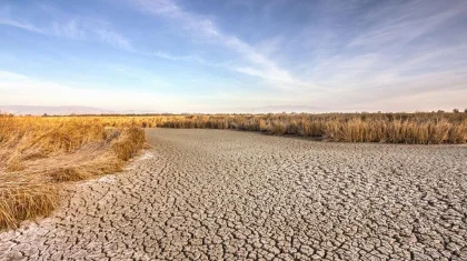 Каким регионам Казахстана может грозить засуха? Министр рассказал о сокращении притока воды