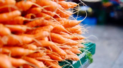 «Даже за 80 тенге тяжело продать»: депутат поднял вопрос запрета на экспорт моркови