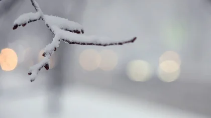 Снегопады и метели ожидаются на автодорогах в 10 областях Казахстана