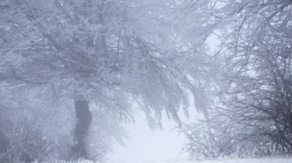 Морозы до −45: штормовое предупреждение объявили в Казахстане на 17 января