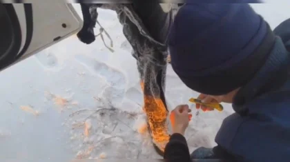 Автомобиль с рыбаками провалился под лед возле Экибастуза (ВИДЕО)