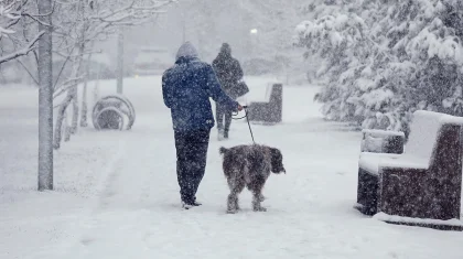 Сильные морозы до -38 и метели: синоптики дали прогноз погоды в Казахстане на 20-22 января
