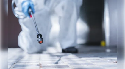 Школу в Атырау временно закрыли из-за крыс