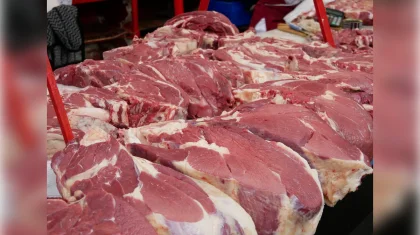 Импорт конины в Казахстан вырос в два раза