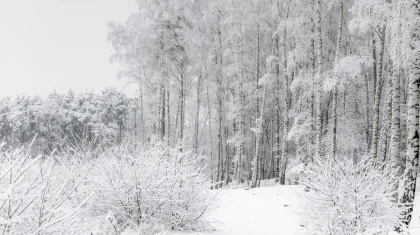 Штормовое предупреждение объявлено в 14 областях Казахстана на 22 января