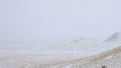 Штормовое предупреждение объявили в 15 регионах Казахстана на 23 января