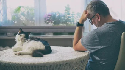 Суд оправдал мужчину, взявшего больничный из-за смерти своей кошки