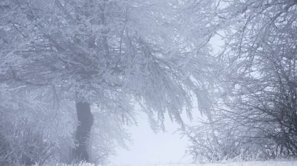 В каких регионах Казахстана объявили штормовое предупреждение