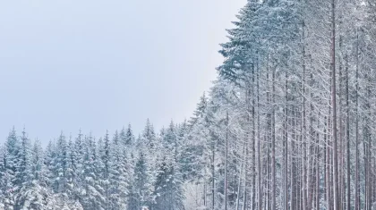 В каких регионах Казахстана объявили штормовое предупреждение