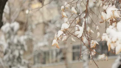 Морозы до -35 и потепление: что готовит погода казахстанцам 27-29 января