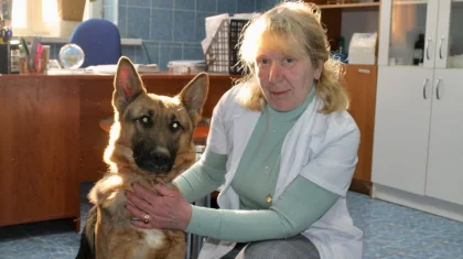 Лечит тех, кто служит без слов: история ветеринара полиции из Атырау