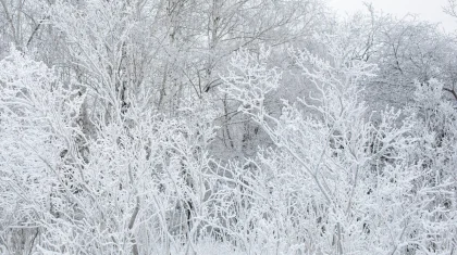 Штормовое предупреждение объявлено в 13 регионах Казахстана на 27 января