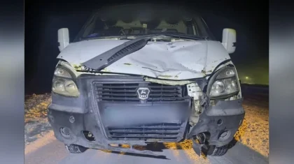 «Газель» насмерть сбила пешехода в Павлодарской области