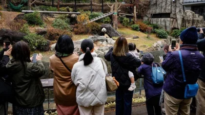 Китай забирает панд из Японии: жители со слезами простились с животными