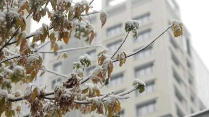 Январь в Казахстане завершится потеплением – прогноз синоптиков