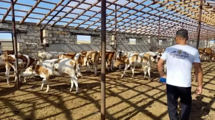 Как можно повысить доходы казахстанских сельчан, рассказал депутат