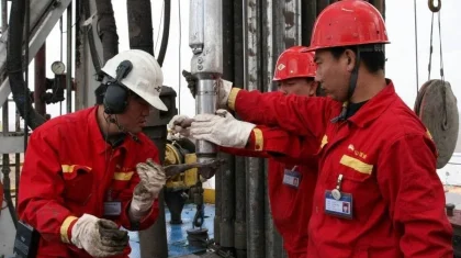 Где работают иностранные специалисты в Казахстане и откуда они приезжают