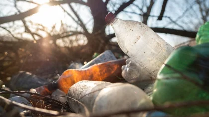 Выброс мусора и порча зеленых насаждений: акиматы получат новые полномочия