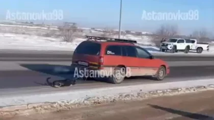 Житель Астаны привязал собаку к машине и протащил по дороге (ВИДЕО)