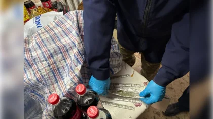 Наркотики в ремне сумки: попытку передачи пресекли в колонии Кызылординской области