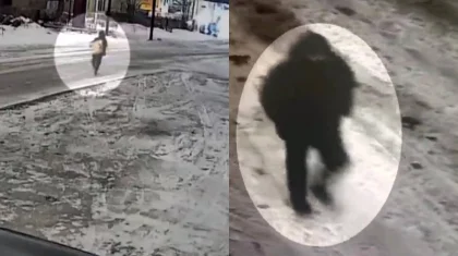 Сейф с деньгами и золотом украл казахстанец из дома в Караганде (ВИДЕО)