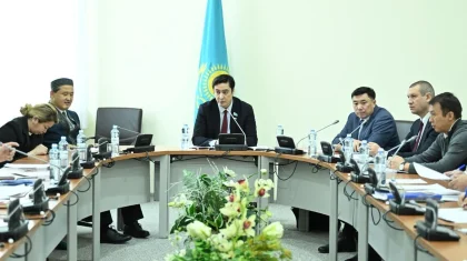 В Мажилисе обсудили налоговые условия для организаций лиц с инвалидностью