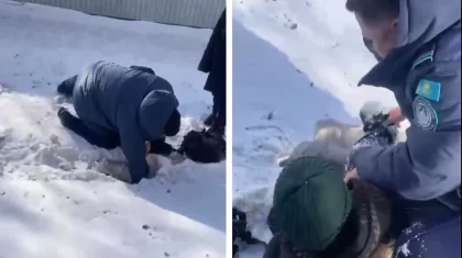 Шестилетний мальчик провалился в арык с водой в Кокшетау