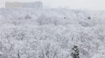 Прогноз погоды в Казахстане на 4 февраля