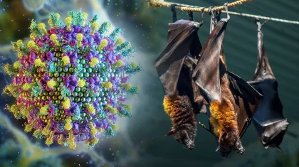 Смертельно опасный вирус Нипах: санврачи обратились к казахстанцам