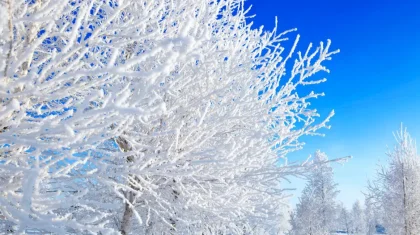 Прогноз погоды в Казахстане на 6 февраля представили синоптики