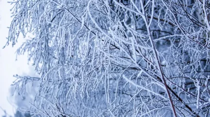 Какая погода ждет казахстанцев 7 февраля