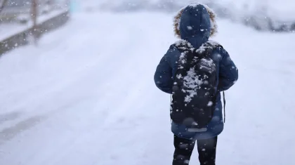 Школьники и студенты колледжей в Астане 12 февраля будут учиться дистанционно