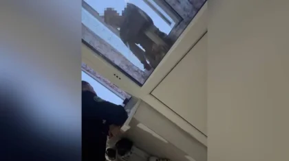 Полицейские спасли жизнь мужчине в области Жетысу