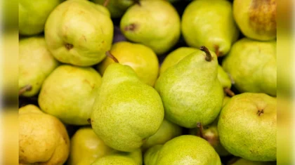 19 тонн бельгийских груш развернули на границе Казахстана