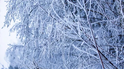 Прогноз погоды в Казахстане на 14 февраля