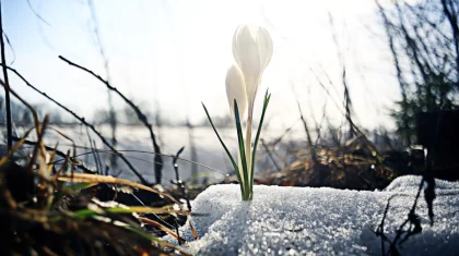 Синоптики рассказали, каким будет март 2026 года в Казахстане