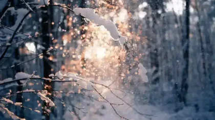 Какая погода ждет казахстанцев 19 февраля