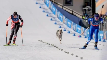 «Волк» выбежал на трассу? Лыжницы на Олимпиаде приняли собаку за хищника (ВИДЕО)